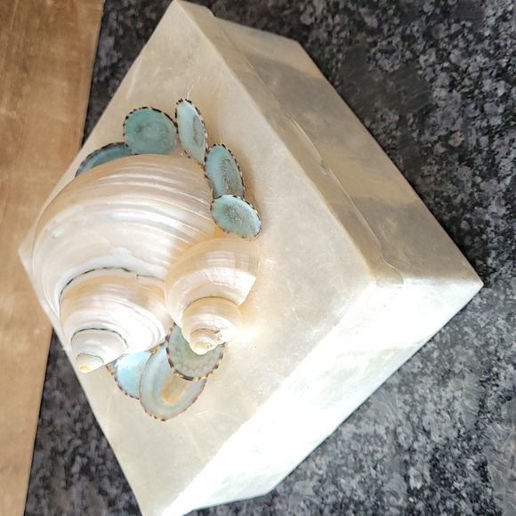 Marjorie Bloom Shell Trinket Box - Picture 3 of 11